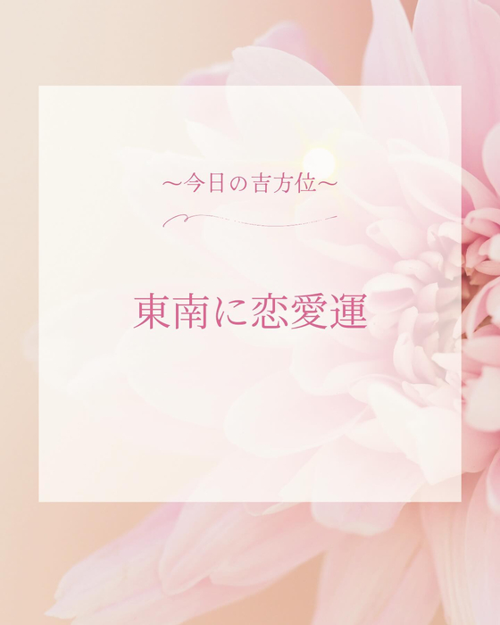 画像371