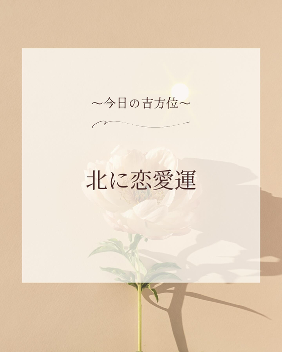 画像423