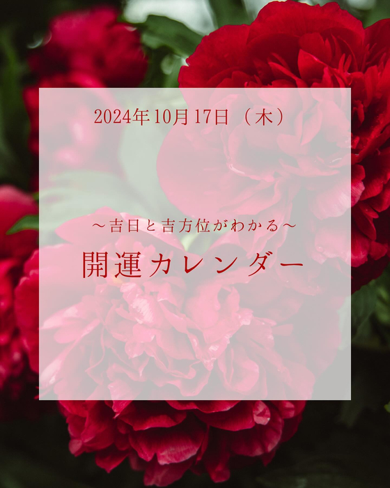 画像429