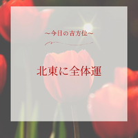 画像431