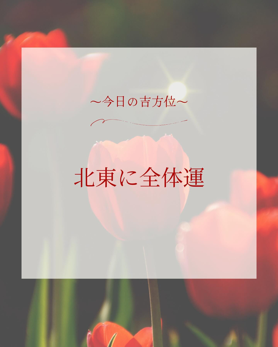 画像431