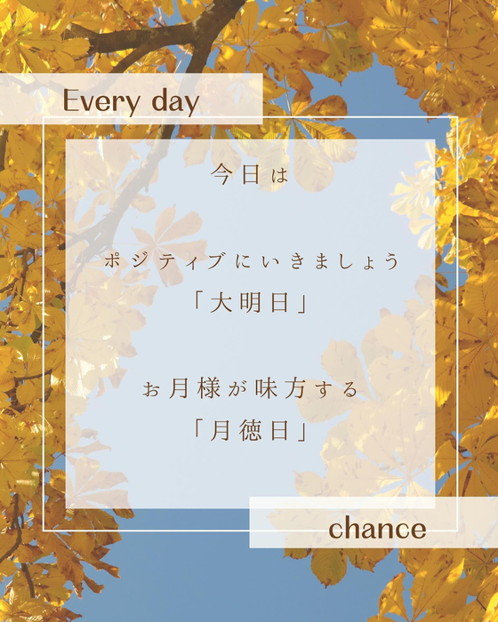 画像442