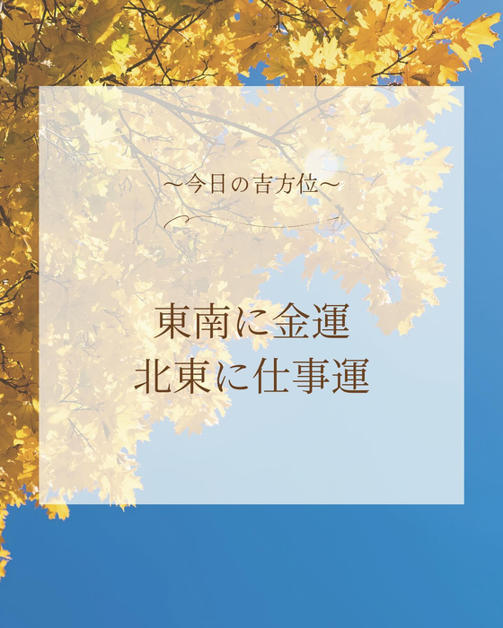画像443