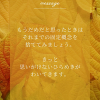画像444