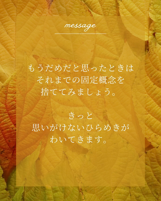 画像444