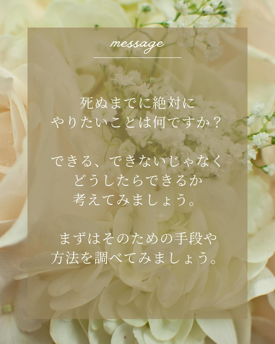 画像494
