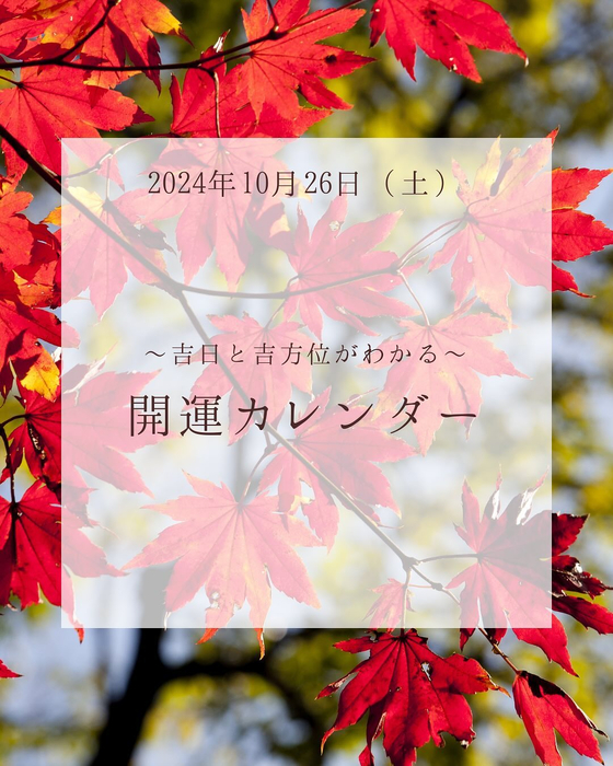 画像497