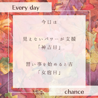 画像498