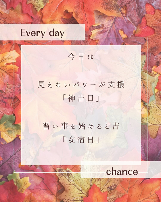画像498