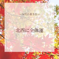 画像499
