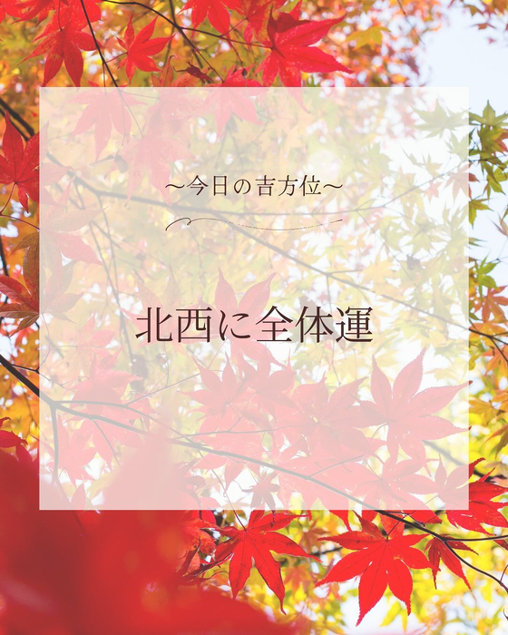 画像499