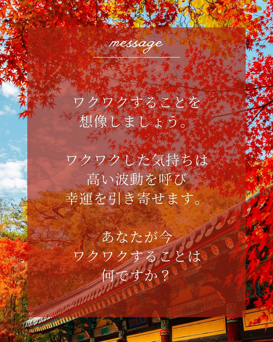 画像500