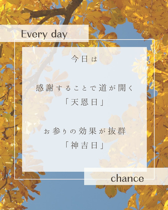 画像512