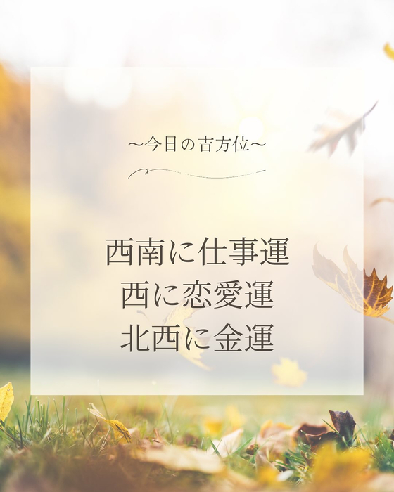 画像513