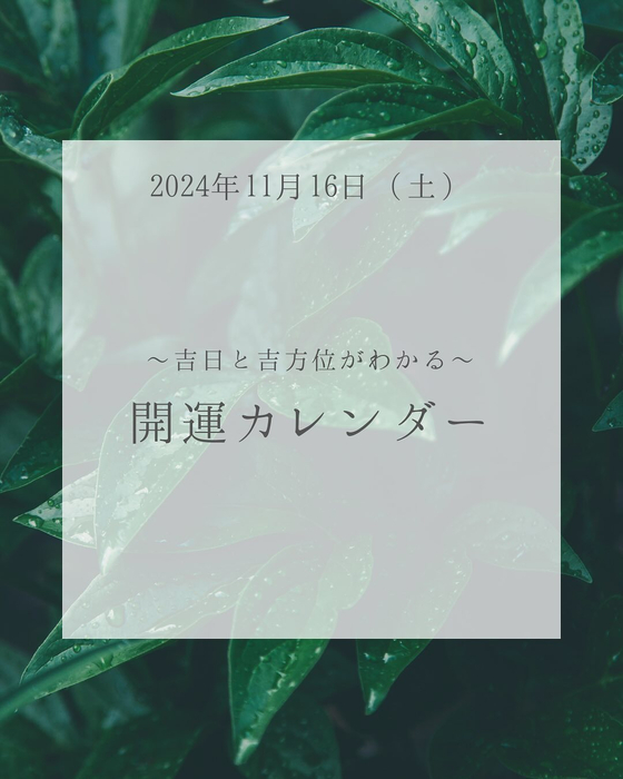 画像637